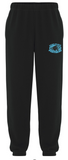 Echo Place Panthers track pants